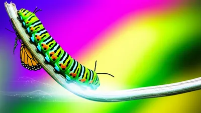 Illustration transmuting