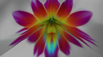 Illustration superficial - Image 1