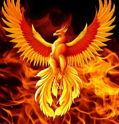 Illustration phoenix - Image 1
