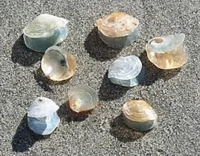 Illustration jingle - Image 2