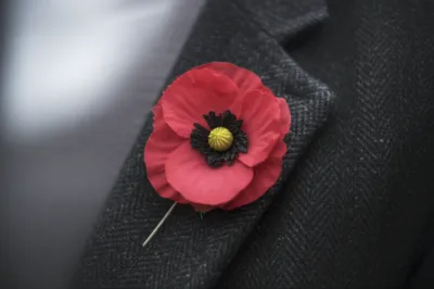 Illustration poppies - Image 1