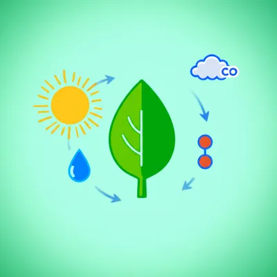 Illustration cartoon - Image 1