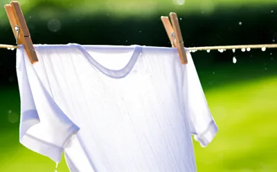 Illustration washed - Image 1