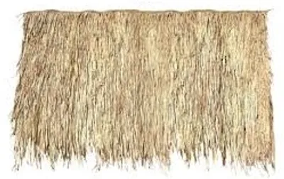 Illustration thatch - Image 2