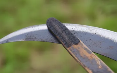 Illustration rifle - Image 1