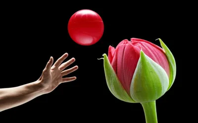 Illustration simultaneously