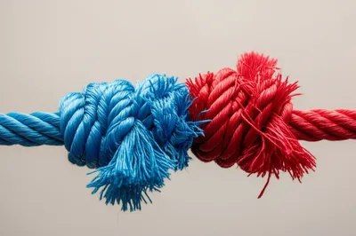 Illustration splicing - Image 1