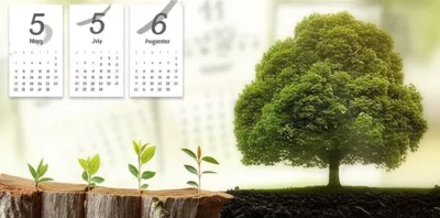 Illustration quinquennium