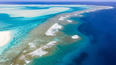 Illustration shelves - Image 1