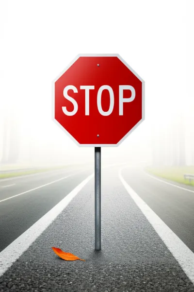 Illustration setting - Image 1