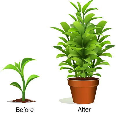 Illustration fattened - Image 1