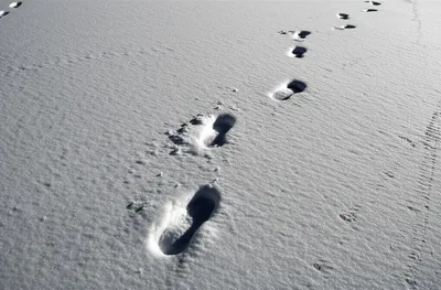 Illustration track - Image 1