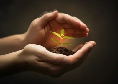 Illustration enfolds - Image 1