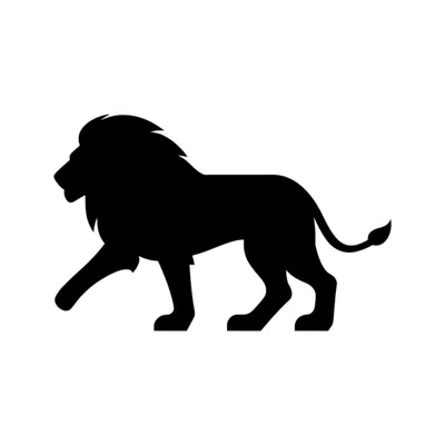 Illustration specific - Image 1