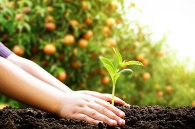 Illustration trusts - Image 1