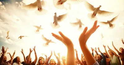 Illustration dropping - Image 1