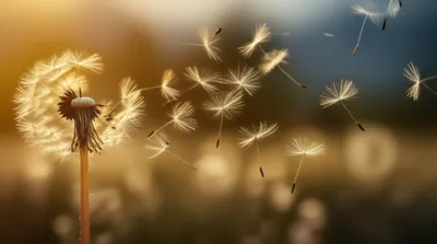 Illustration breathe - Image 1