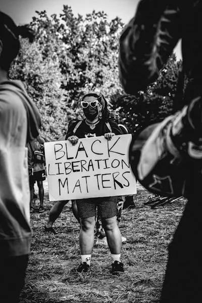 Illustration liberals - Image 2