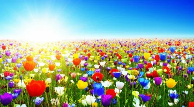 Illustration brights - Image 1