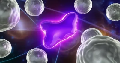 Illustration strangest - Image 1