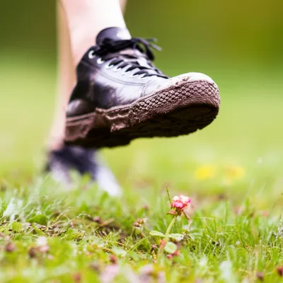 Illustration heel - Image 1