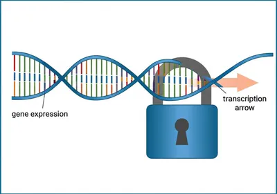 Illustration silence - Image 1