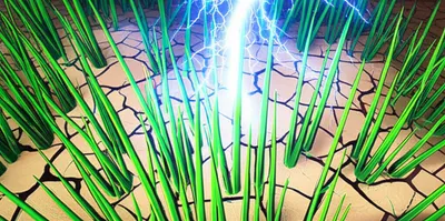 Illustration seize - Image 1