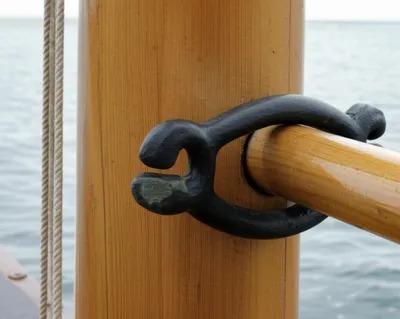 Illustration withe - Image 1