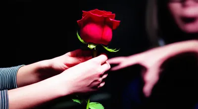 Illustration possessive - Image 1