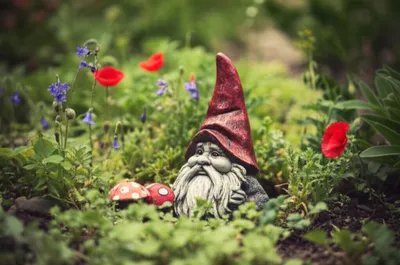 Illustration gnomes - Image 1