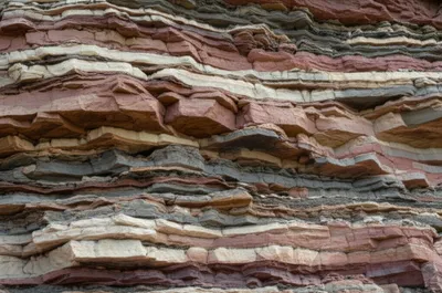 Illustration group - Image 1