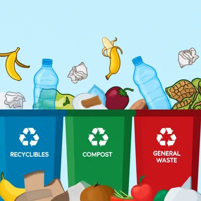 Illustration disposal