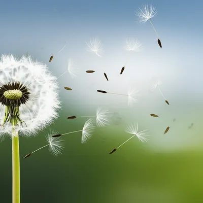 Illustration still - Image 1