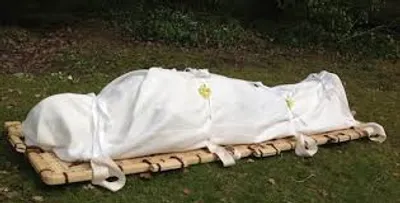 Illustration shroud - Image 2