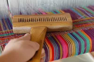 Illustration combs - Image 1