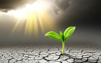 Illustration rescuing - Image 1