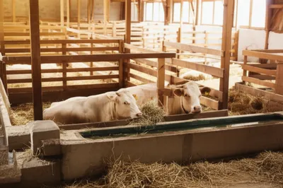 Illustration stall - Image 1