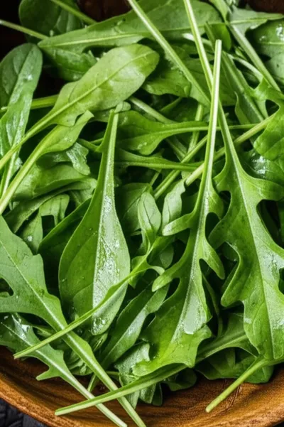 Illustration roquettes