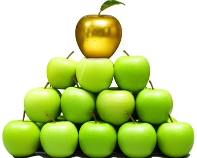 Illustration best - Image 1