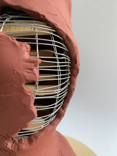 Illustration flayed - Image 1