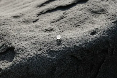 Illustration dot - Image 1