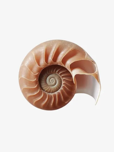 Illustration gyrations - Image 1