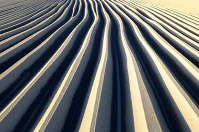 Illustration sulcus - Image 1