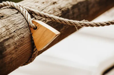 Illustration chip - Image 1