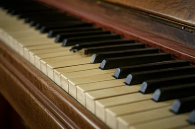 Illustration ivories - Image 1