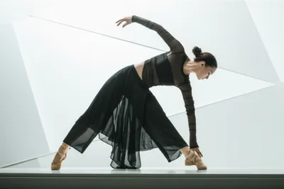 Hình ảnh minh họa voguing - Ảnh 1