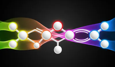 Illustration conjugations - Image 1