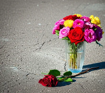 Illustration cheaper - Image 1