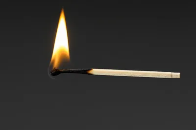 Illustration short - Image 1