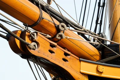 Illustration bee - Image 1